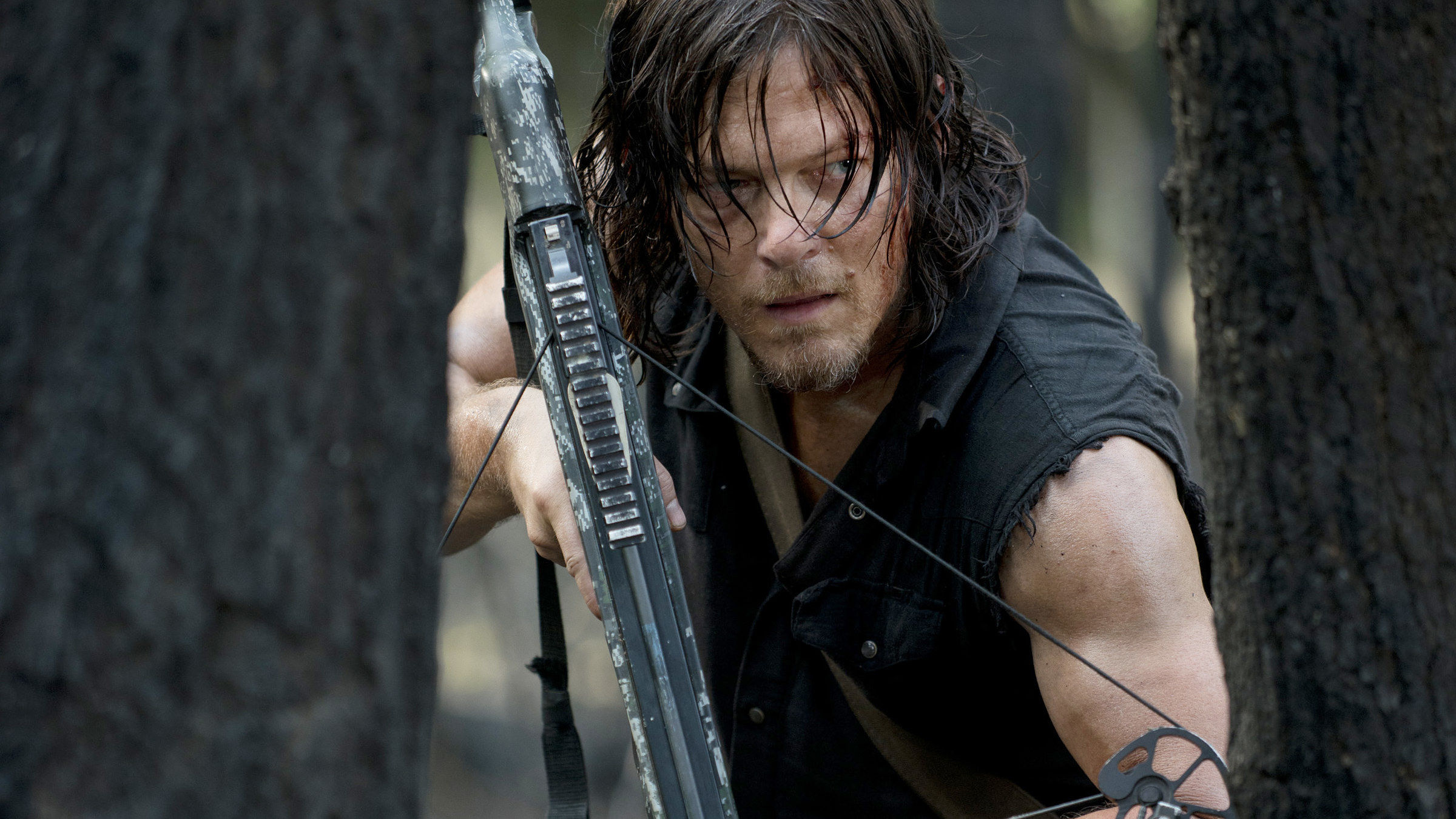 Daryl Dixon (Norman Reedus)