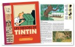 Livre tresors de Tintin